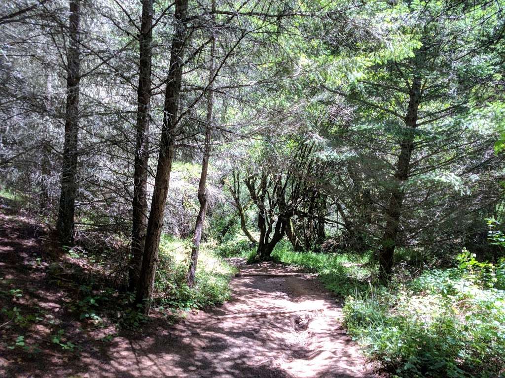 Whitegate Ranch Trailhead | Panoramic Hwy, Stinson Beach, CA 94970, USA