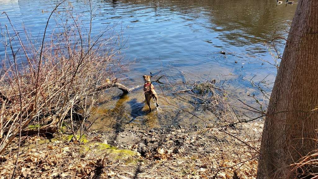 Turner Reservoir Loop Trailhead Parking | 400 Pleasant St, Rumford, RI 02916, USA