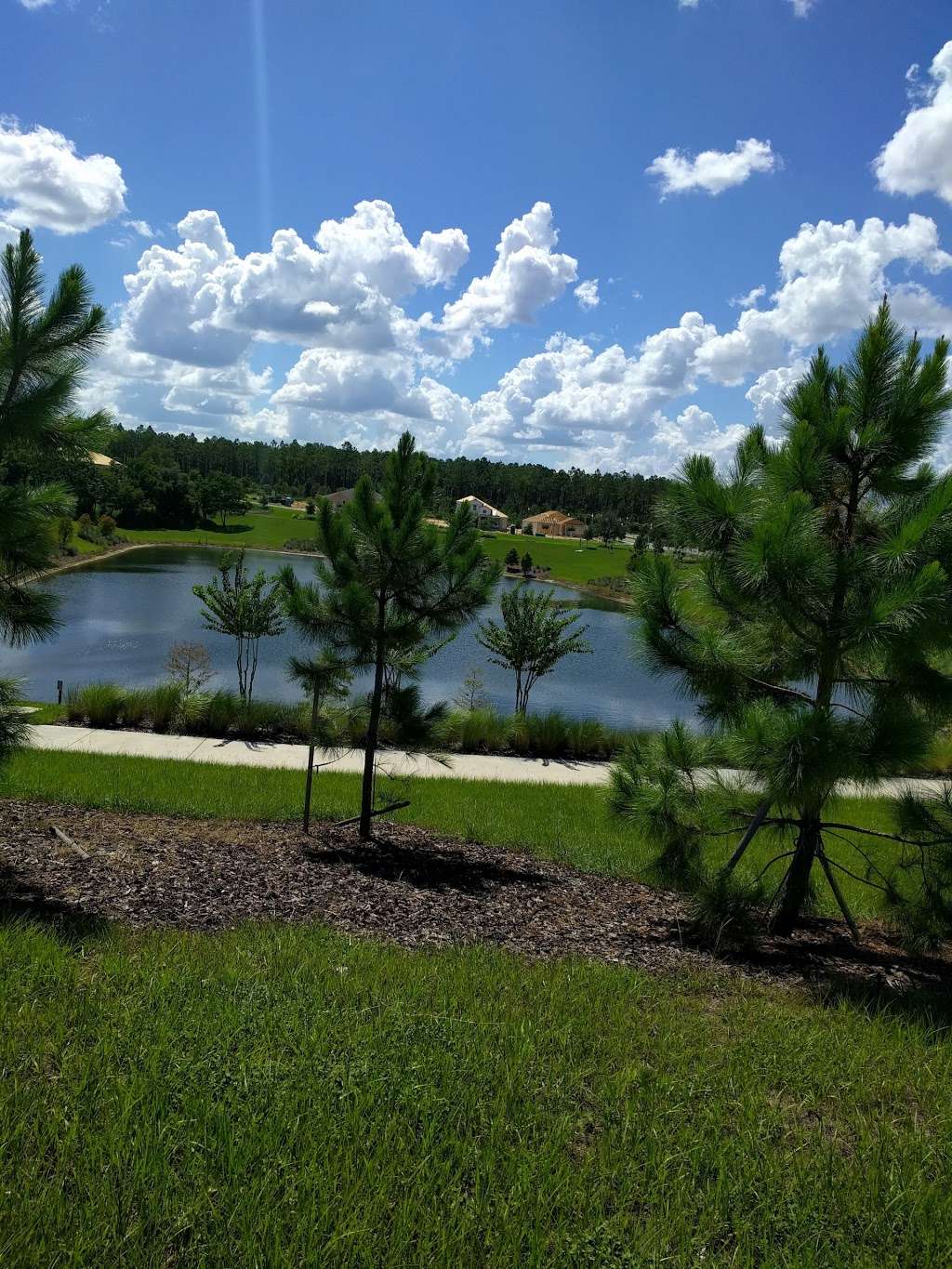 Overlook at Hamlin Amphitheatre | Winter Garden, FL 34787