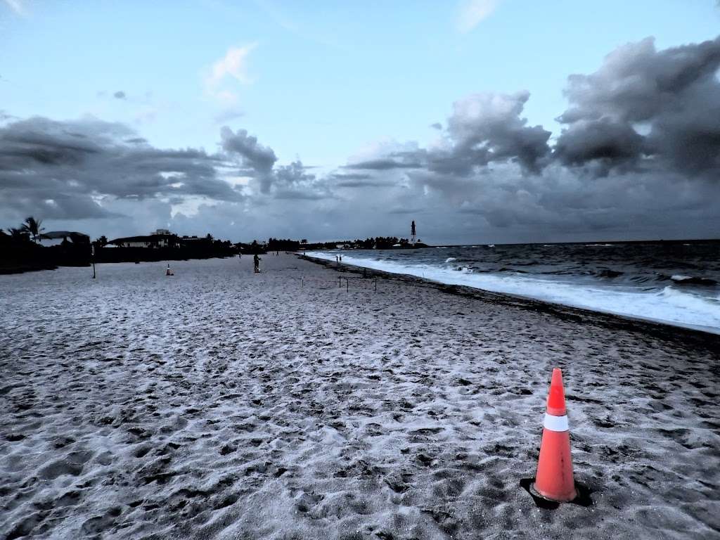 Public Kite Beach | 3499 NE 16th St, Pompano Beach, FL 33062, USA | Phone: (954) 410-5419