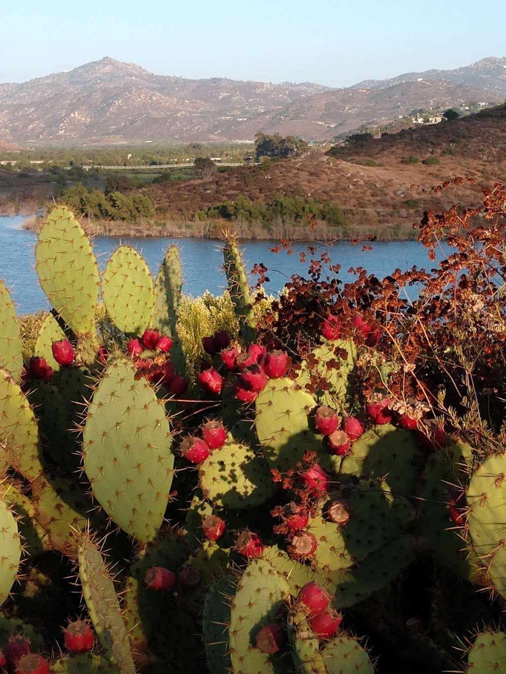 San Dieguito River Trail | San Dieguito River Trail, Escondido, CA 92029