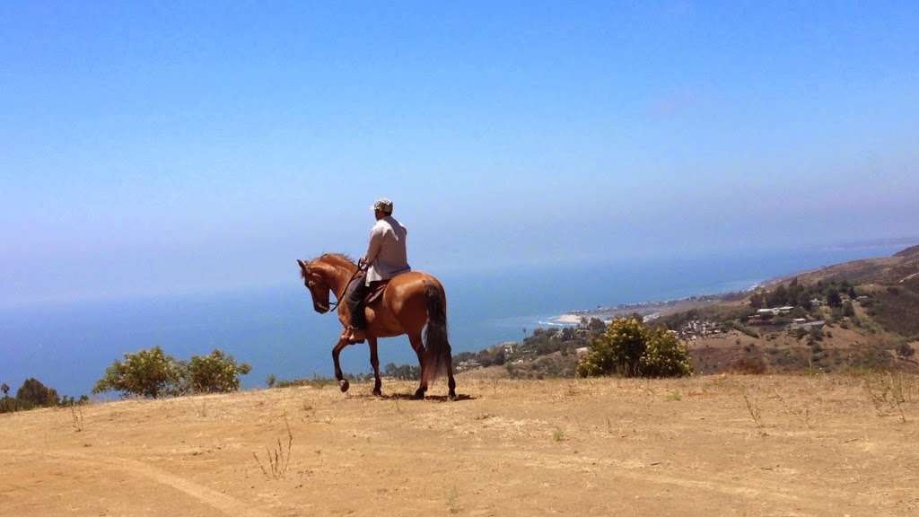 King Of Hearts Ranch Inc. | 2901 Corral Canyon Rd, Malibu, CA 90265, USA | Phone: (310) 456-1038