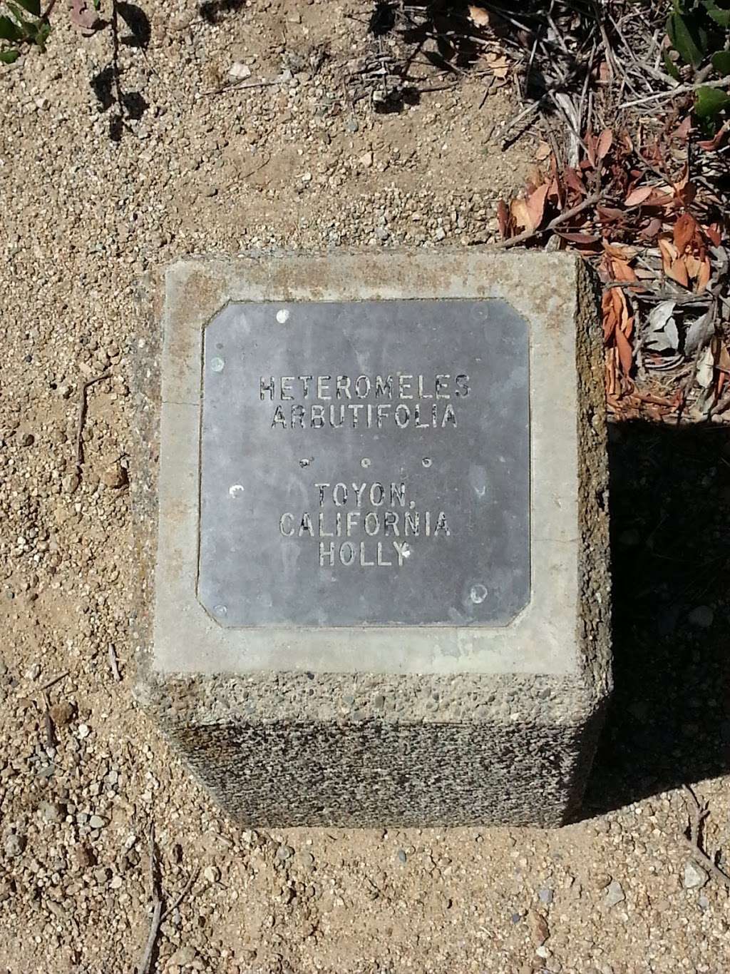 Seaview Park Trail And Overlook | Laguna Beach, CA 92651, USA Seaview Park Trail And Overlook | Laguna Beach, CA 92651, USA