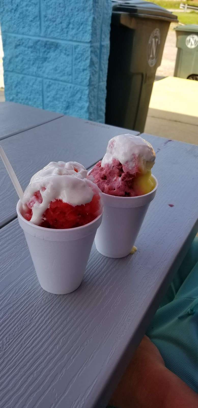 Pelicans Snoballs | 1918 N Main Ave, Newton, NC 28658, USA | Phone: (704) 477-3402