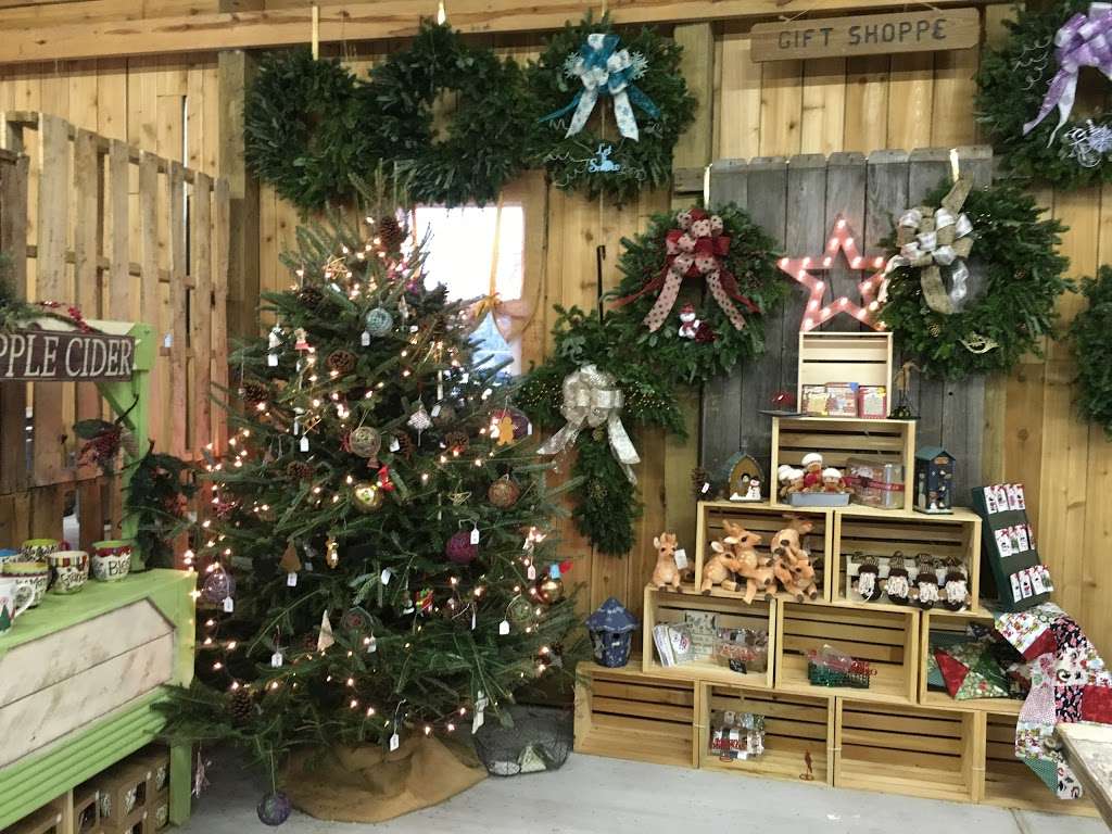 Holiday Acres Christmas Tree Farm | 8919 Mustang Bayou Rd, Manvel, TX 77578, USA | Phone: (281) 317-0586