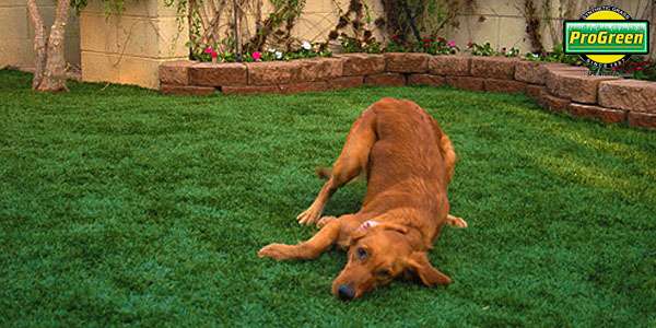 ProGreen Artificial Grass Bay Area | We Moved, Bettona Street, Livermore, 94550, 49009 Milmont Dr, Fremont, CA 94538, USA | Phone: (415) 660-9626