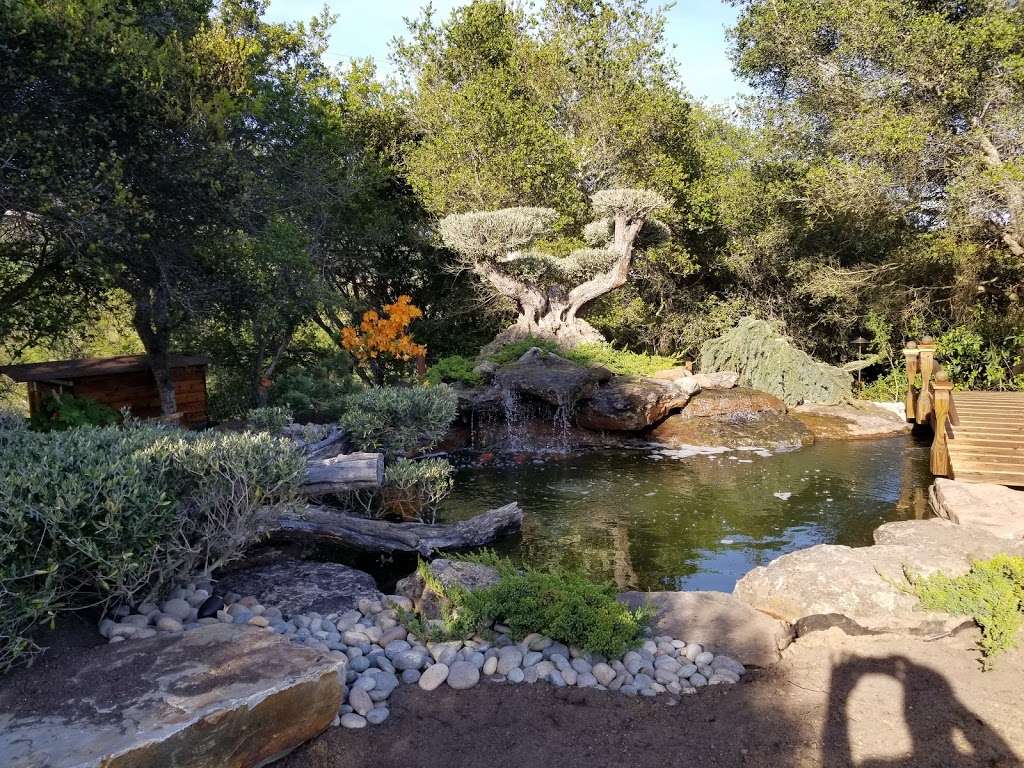 The Pond Solution | 2233 Rainbow Valley Blvd, Fallbrook, CA 92028, USA | Phone: (888) 952-5327