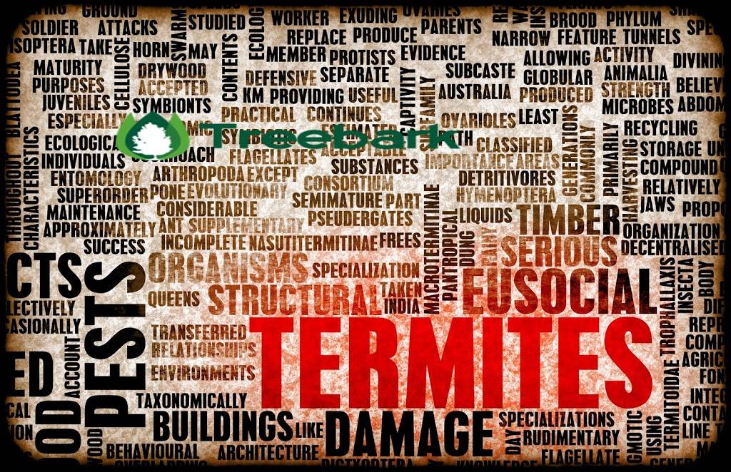 Treebark Termite and Pest Control | 8175 Limonite Ave, Riverside, CA 92509 | Phone: (951) 292-4017