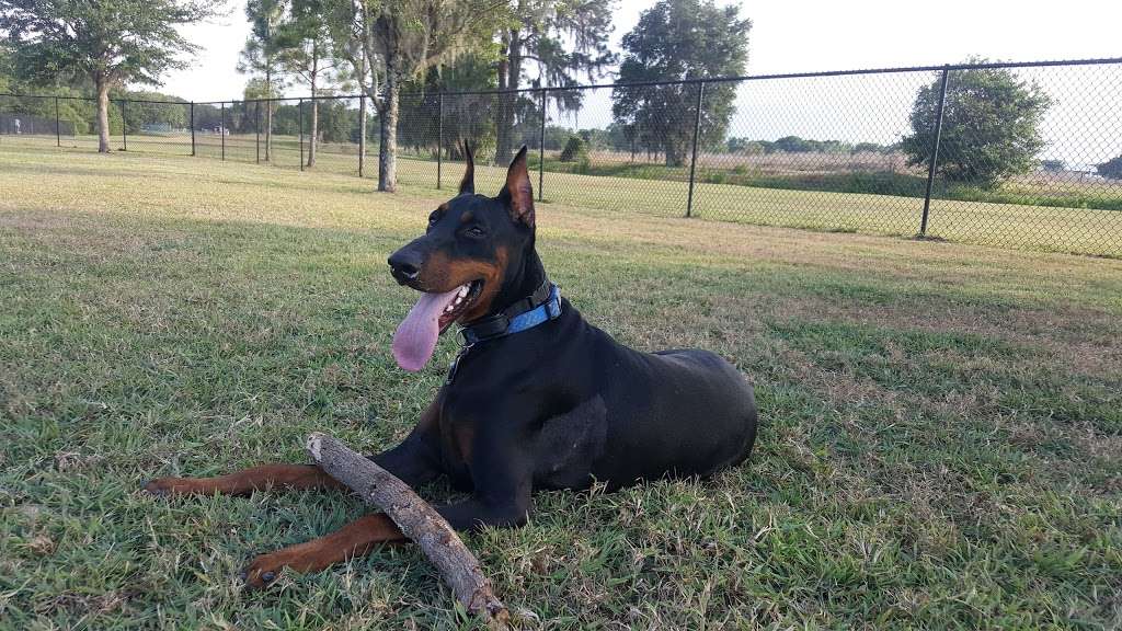 Auburndale Dog Park | 318 Denton Ave, Auburndale, FL 33823 | Phone: (863) 440-3252