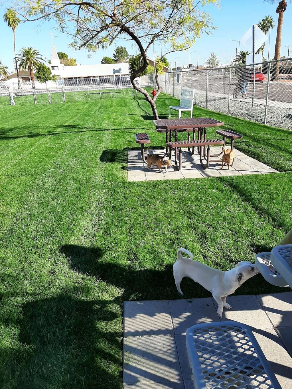 Citizens Dog Park of Youngtown | 12030 N 113th Ave, Youngtown, AZ 85363, USA