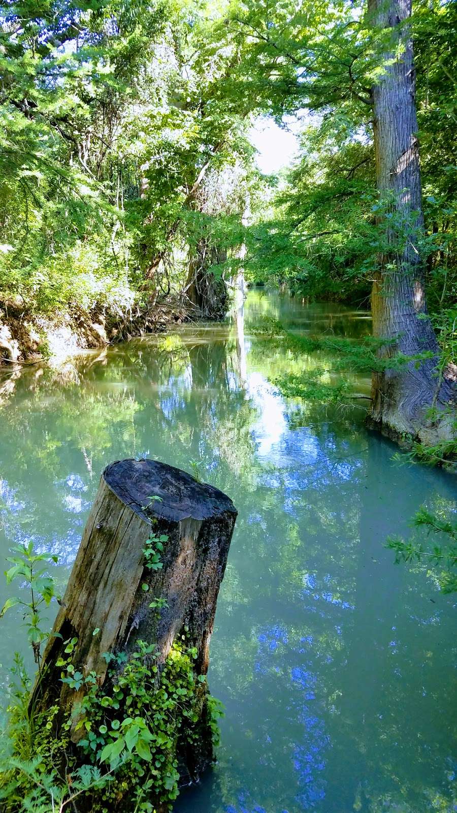 Medina River Natural Area | 15890 TX-16, San Antonio, TX 78264, USA | Phone: (210) 207-7275