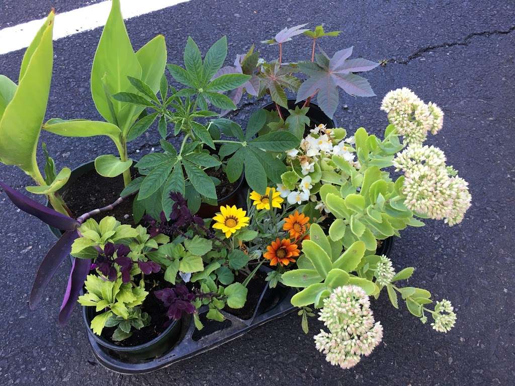 C J Discount Garden Center | 2200 State Rd, Bensalem, PA 19020, USA | Phone: (215) 639-1616