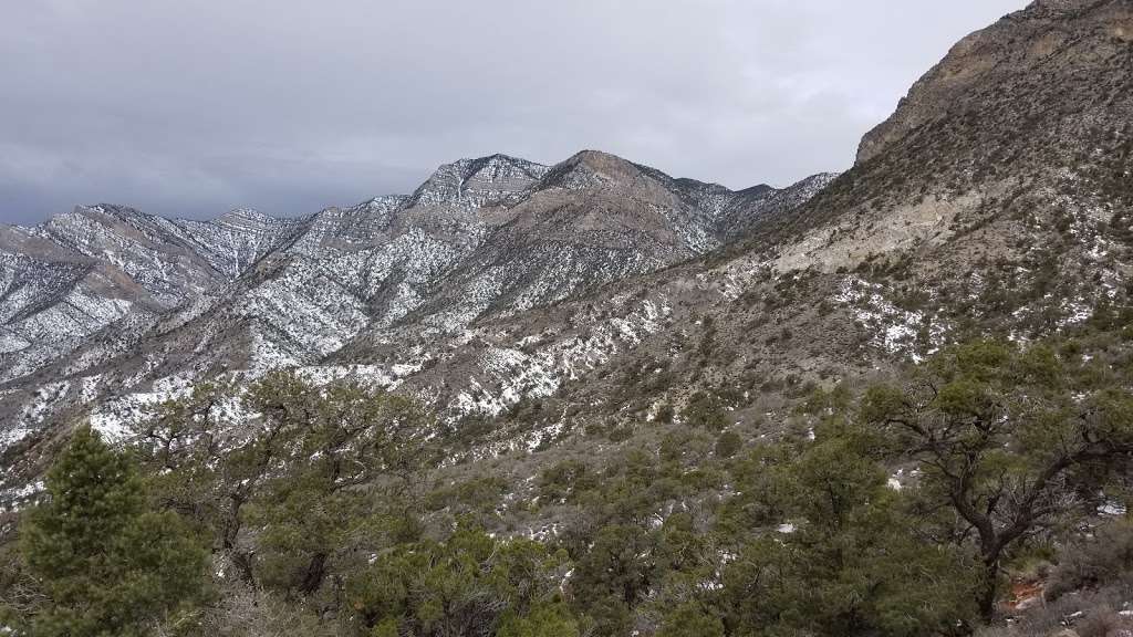 White Rock Trailhead | Red Rock Canyon Rd, Las Vegas, NV 89161, USA