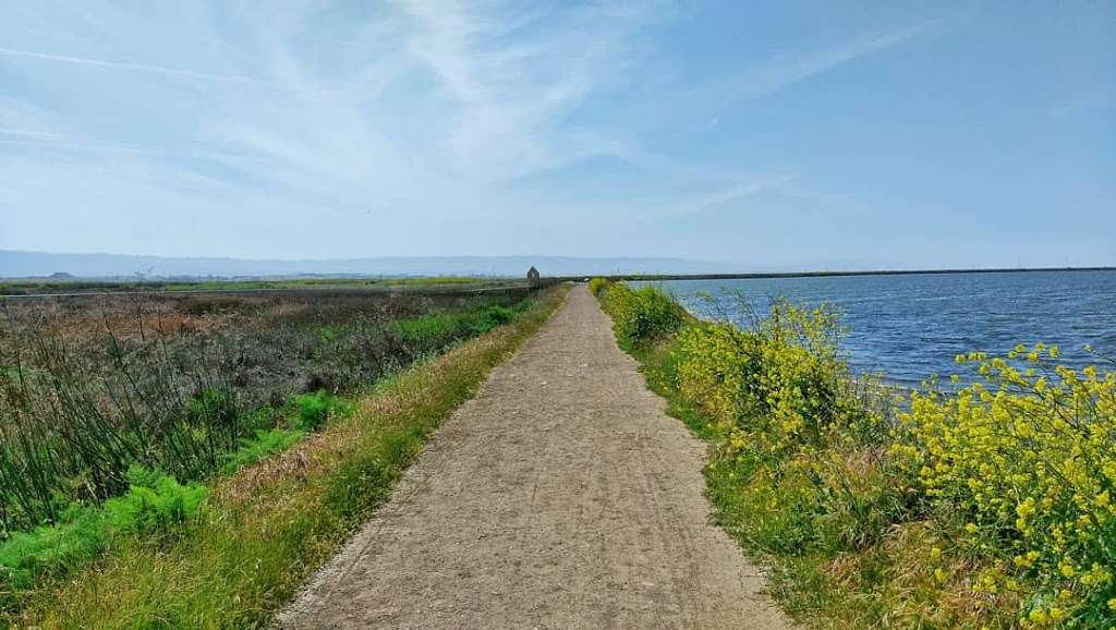 Alviso Marina County Park | 1195 Hope St, Alviso, CA 95002, USA | Phone: (408) 262-6980