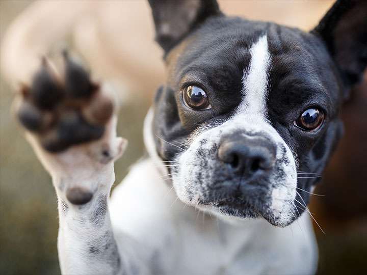 College Hunks Hauling Junk and Moving | 1200 Corporate Blvd unit 11-1, Lancaster, PA 17601, USA | Phone: (717) 208-8202