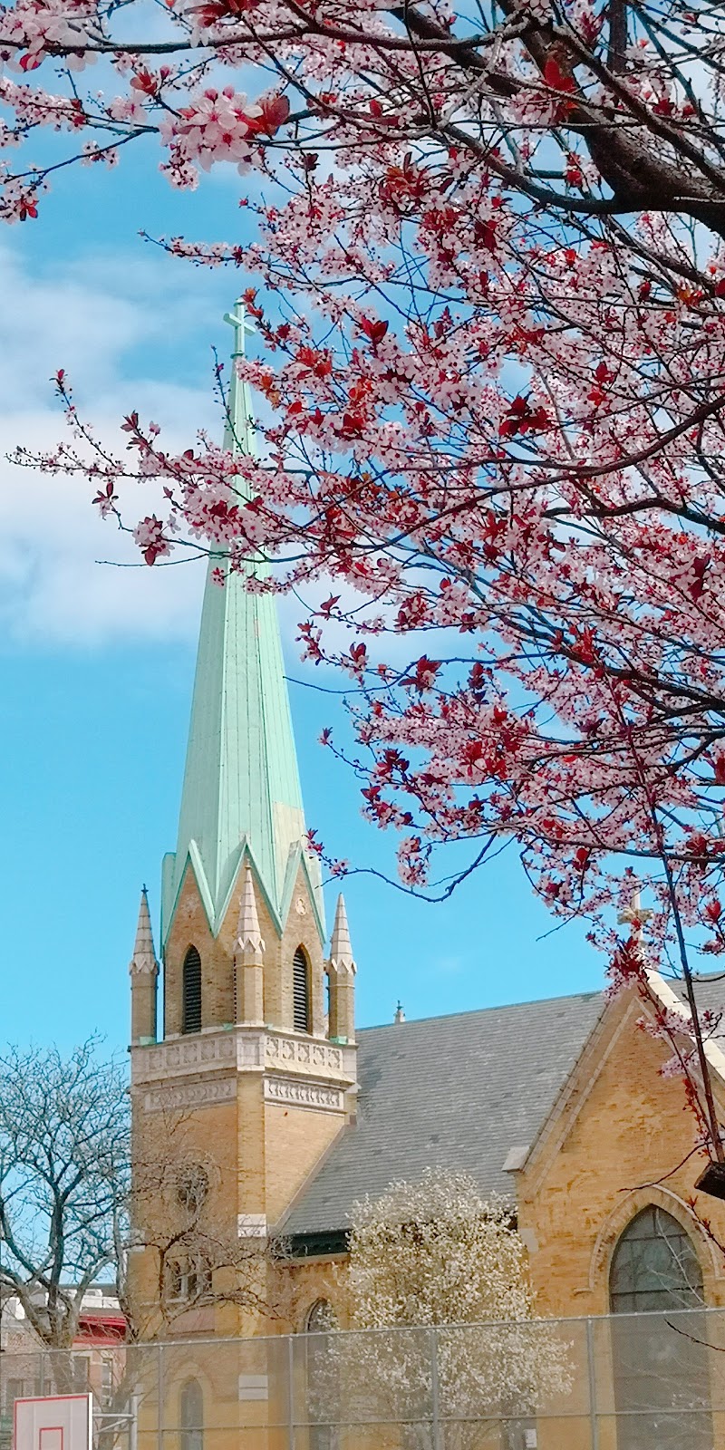 Saint Paul Lutheran Church | 592 Knickerbocker Ave, Brooklyn, NY 11221, USA | Phone: (718) 443-2220