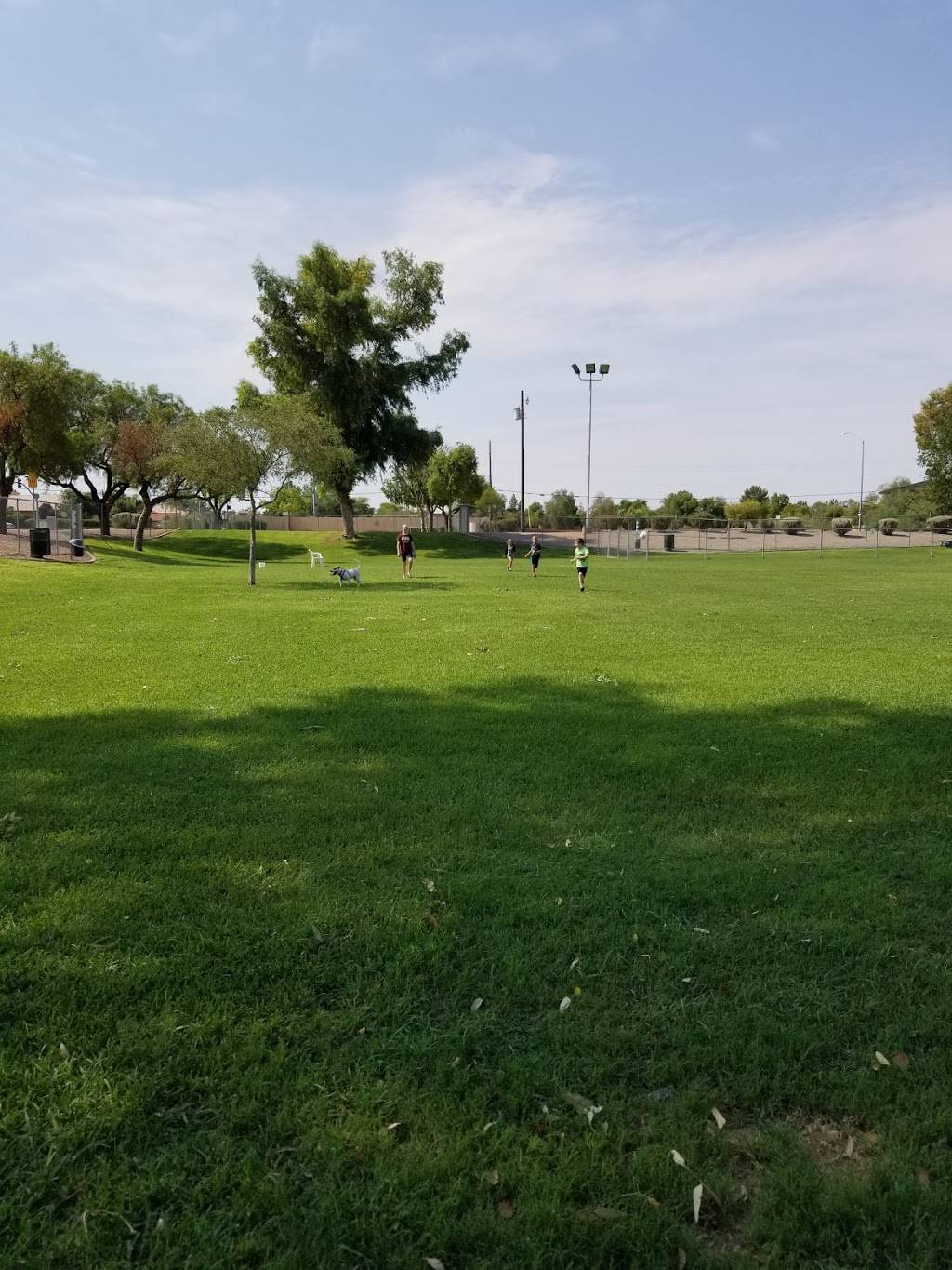 Countryside Park | 3130 E Southern Ave, Mesa, AZ 85204, USA | Phone: (480) 644-2352