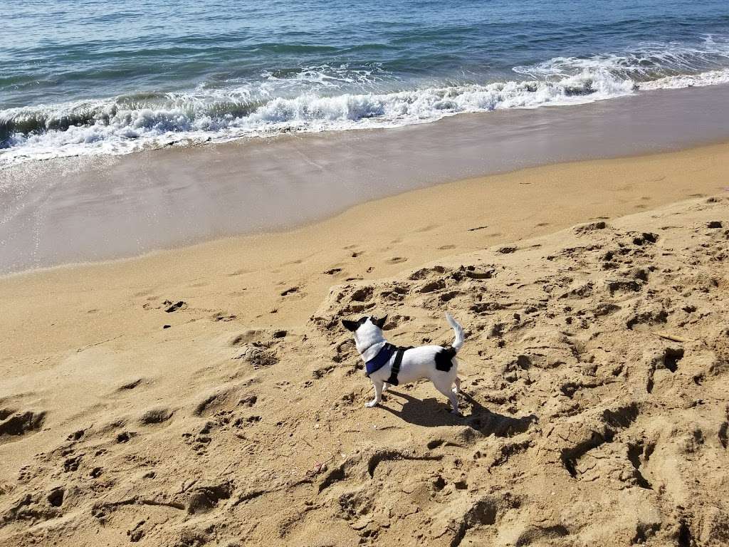 Balboa Peninsula Park | 100 Main St, Newport Beach, CA 92661, USA | Phone: (949) 644-3151