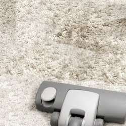 T. R. Carpet Cleaner | 409 Ridge Pike, Conshohocken, PA 19428 | Phone: (610) 510-8099
