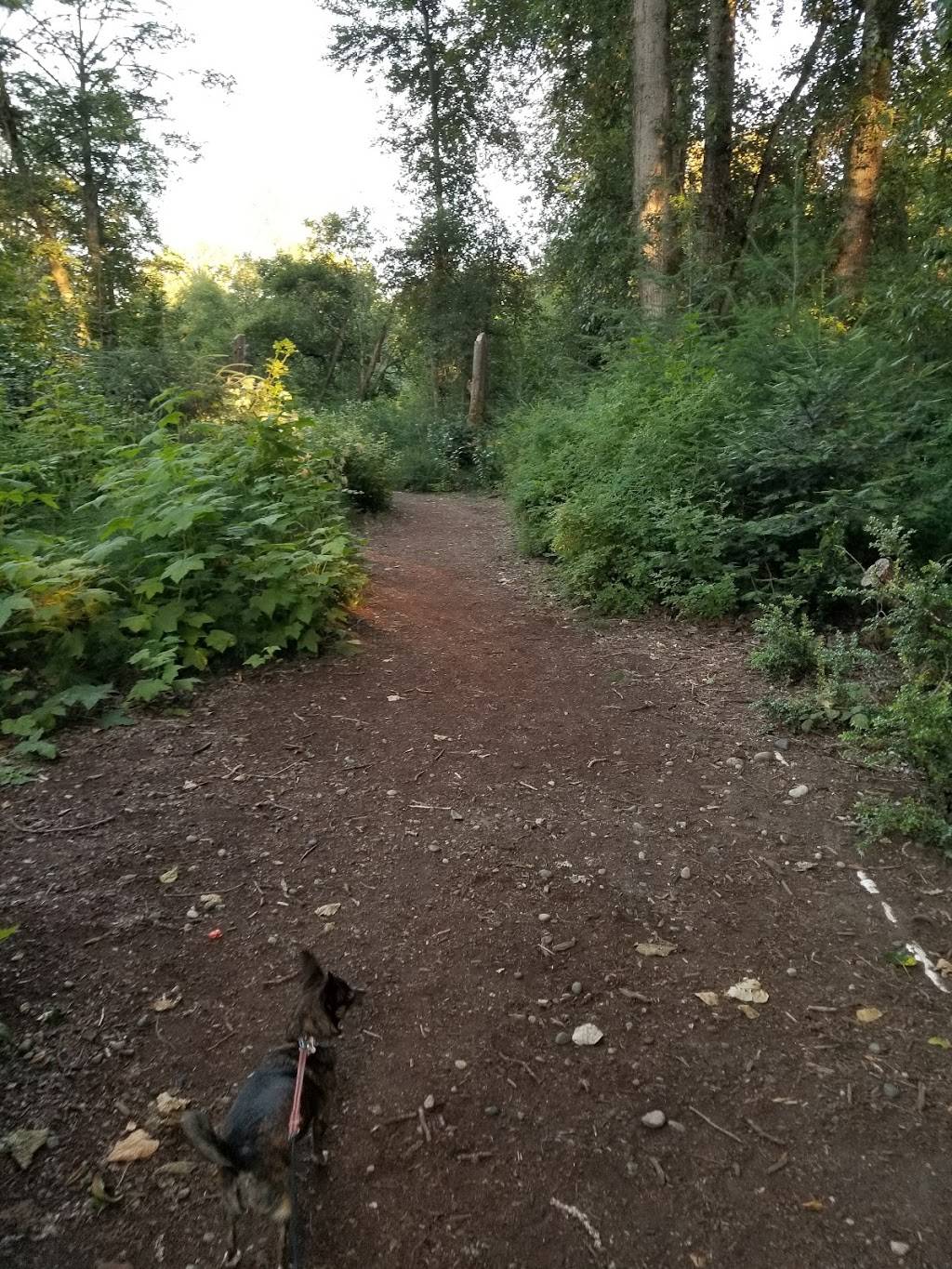 May Creek Trail | 4260 Lake Washington Blvd N, Renton, WA 98056, USA | Phone: (206) 477-4527