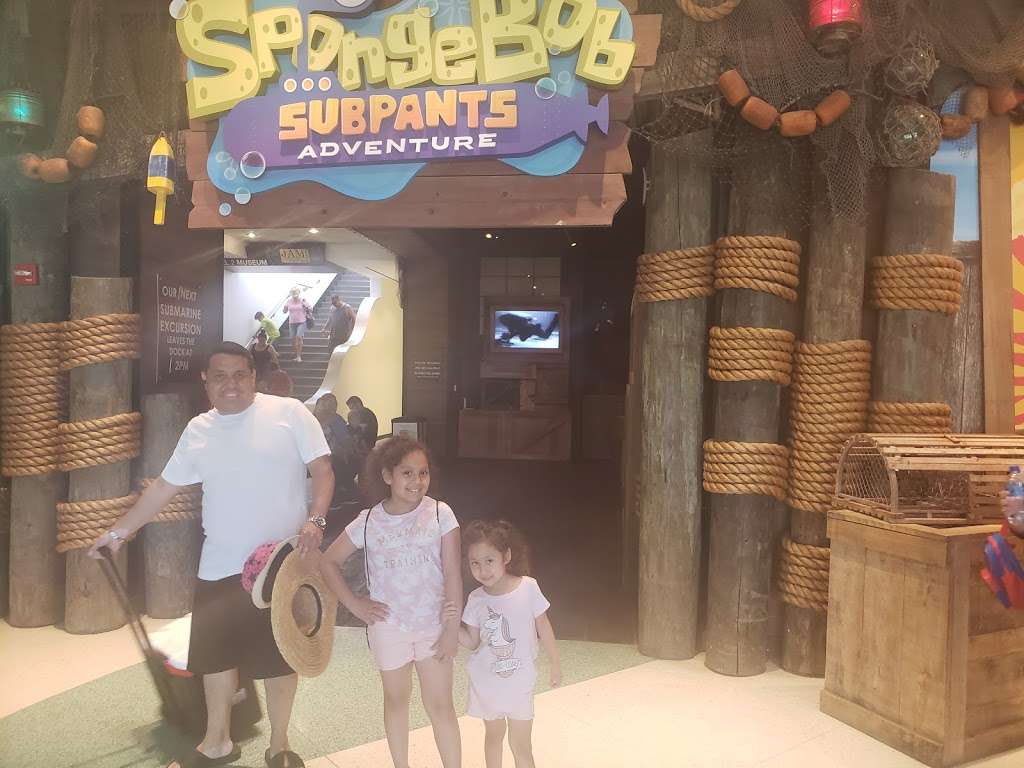 Spongebob SubPants Adventure | 1 Hope Blvd, Galveston, TX 77554, USA | Phone: (800) 582-4673