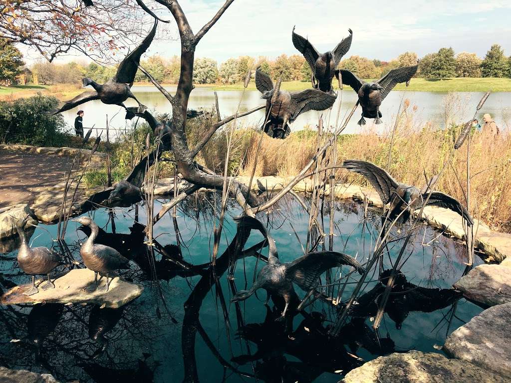 Native Plant Garden | Northbrook, IL 60062, USA