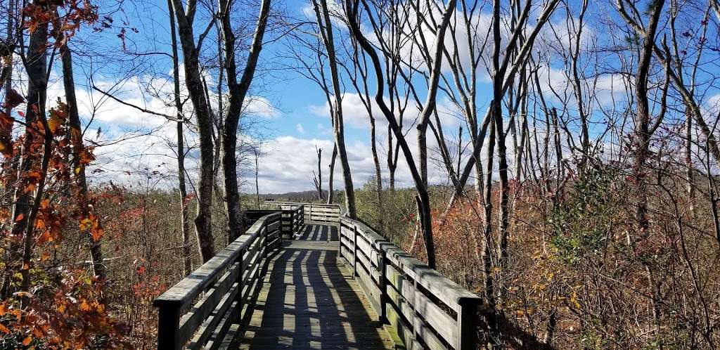 Edwin B Forsythe National Wildlife Refuge | Barnegat, NJ 08005