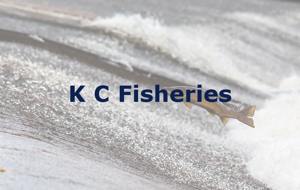 K C Fisheries | 1 Oakwood Hill, Loughton IG10 3EW, UK | Phone: 020 8508 4372