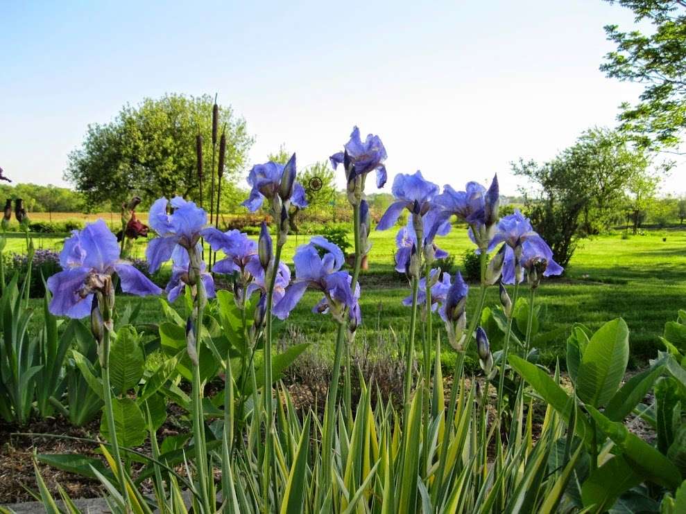 After Eight Bed & Breakfast | 2942 Lincoln Hwy E, Gordonville, PA 17529, USA | Phone: (717) 687-3664