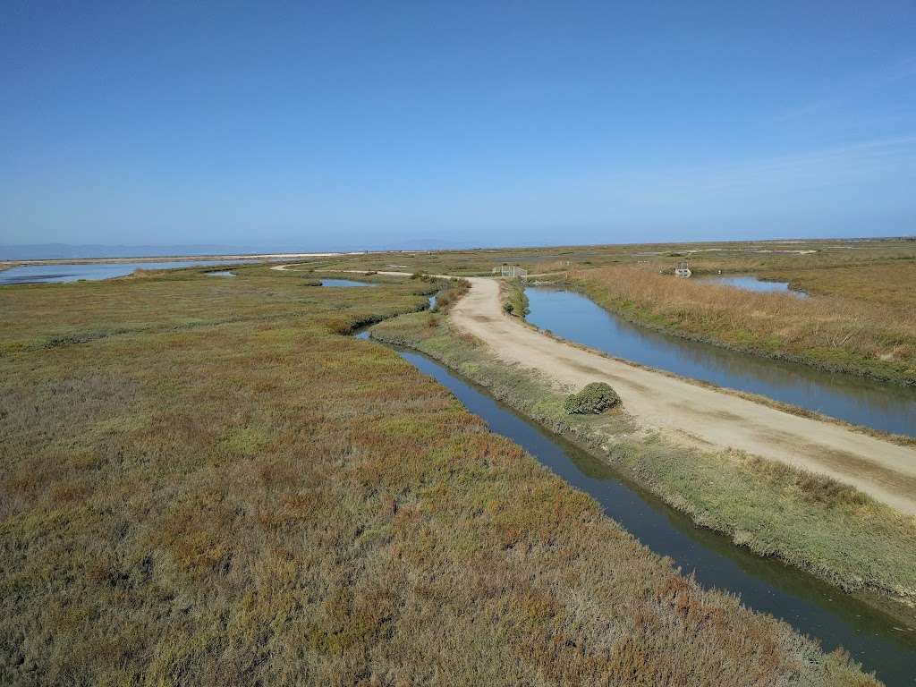 Hayward Shoreline Interpretive Center | 4901 Breakwater Ave, Hayward, CA 94545 | Phone: (510) 670-7270