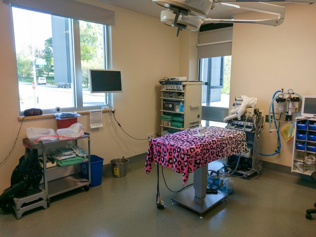 Edinger Surgical Options | 1848 Waldorf Blvd, Madison, WI 53719, USA | Phone: (608) 845-0002
