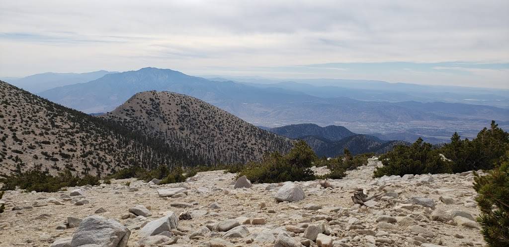 San Gorgonio Wilderness | Angelus Oaks, CA 92305, USA | Phone: (909) 382-2882