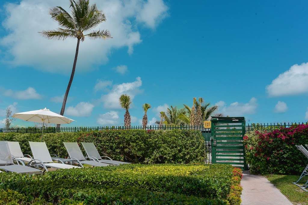 The Alexander® - All Suite Oceanfront Resort | 5225 Collins Avenue 3058656500, Miami Beach, FL 33140, USA | Phone: (305) 865-6500