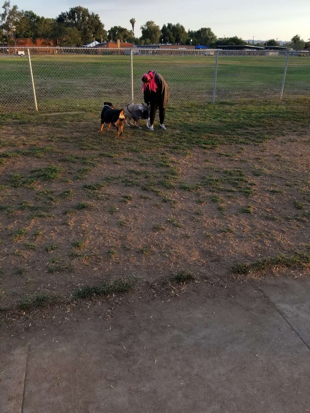 Central Bark Dog Park | 1500 W Rowland Ave, West Covina, CA 91791