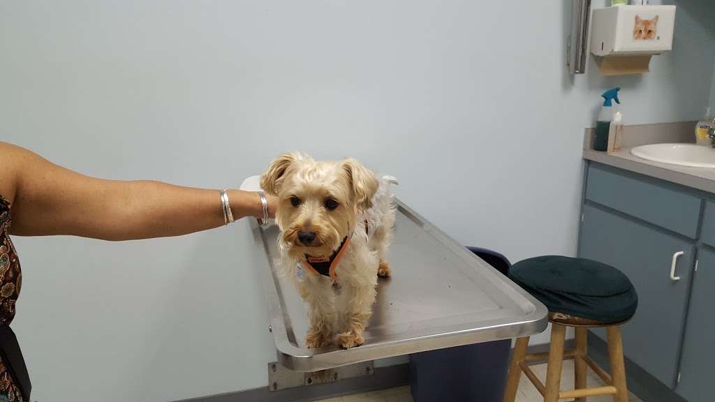 Osceola Animal Clinic 3223 S John Young Pkwy, Kissimmee, FL 34746