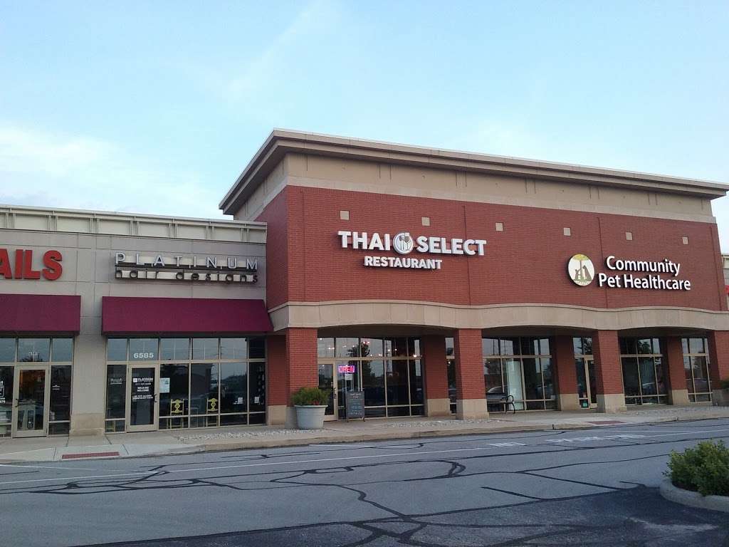 Thai Select Restaurant | 6579 Whitestown Pkwy, Zionsville, IN 46077, USA | Phone: (317) 769-0767