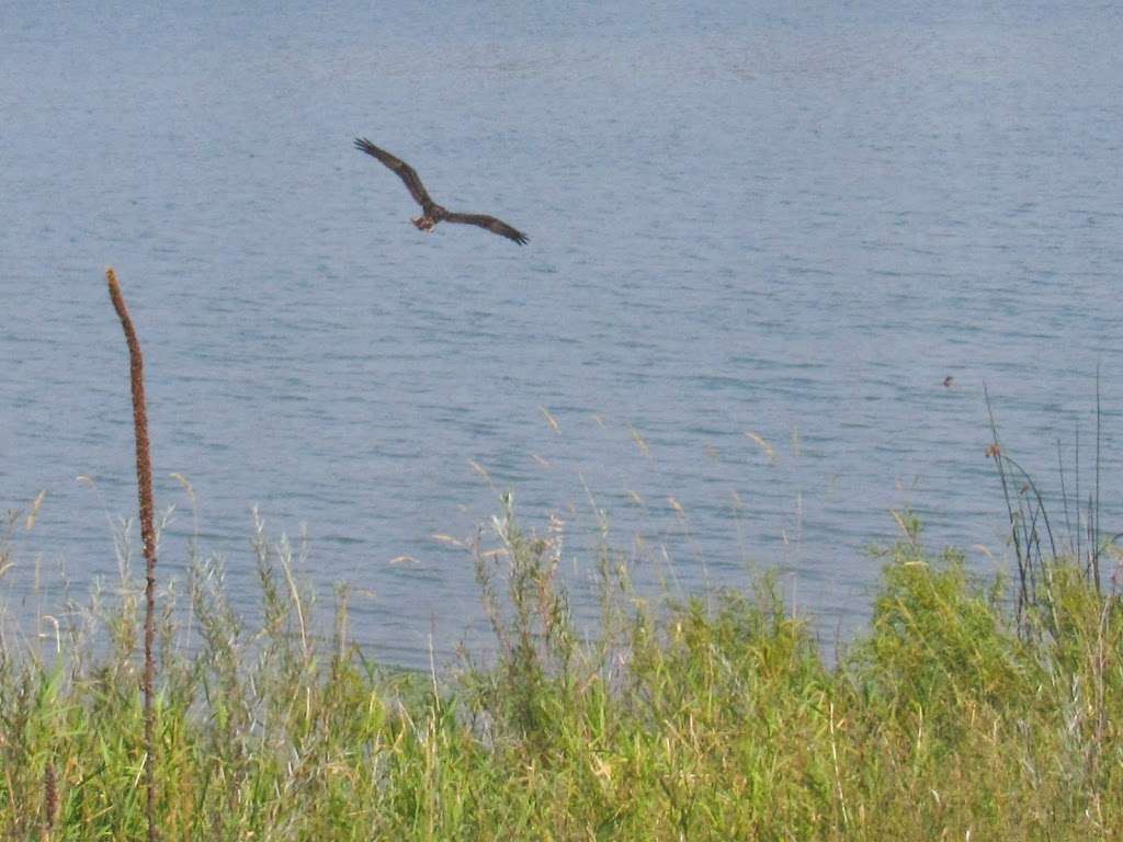 Boedecker Lake - Mariano Reservoir | Mariano Reservoir, Loveland, CO 80537, USA