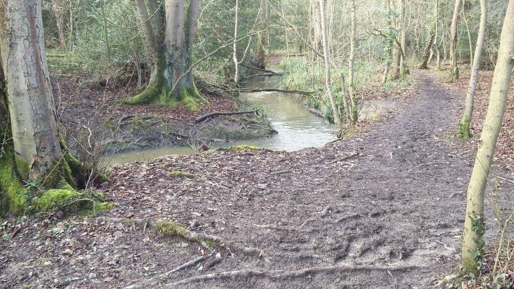 Darlands Lake Nature Reserve | London N20 8PY, UK