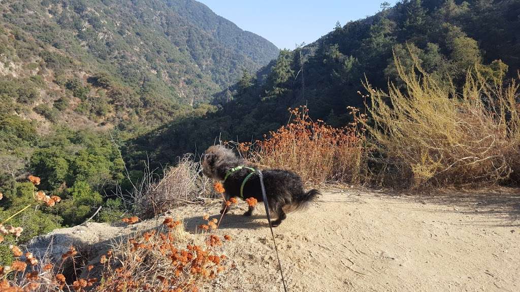 Chantry Flats Parking Lot and Trail Head | Chantry Flats Rd, Arcadia, CA 91006, USA | Phone: (626) 574-1613