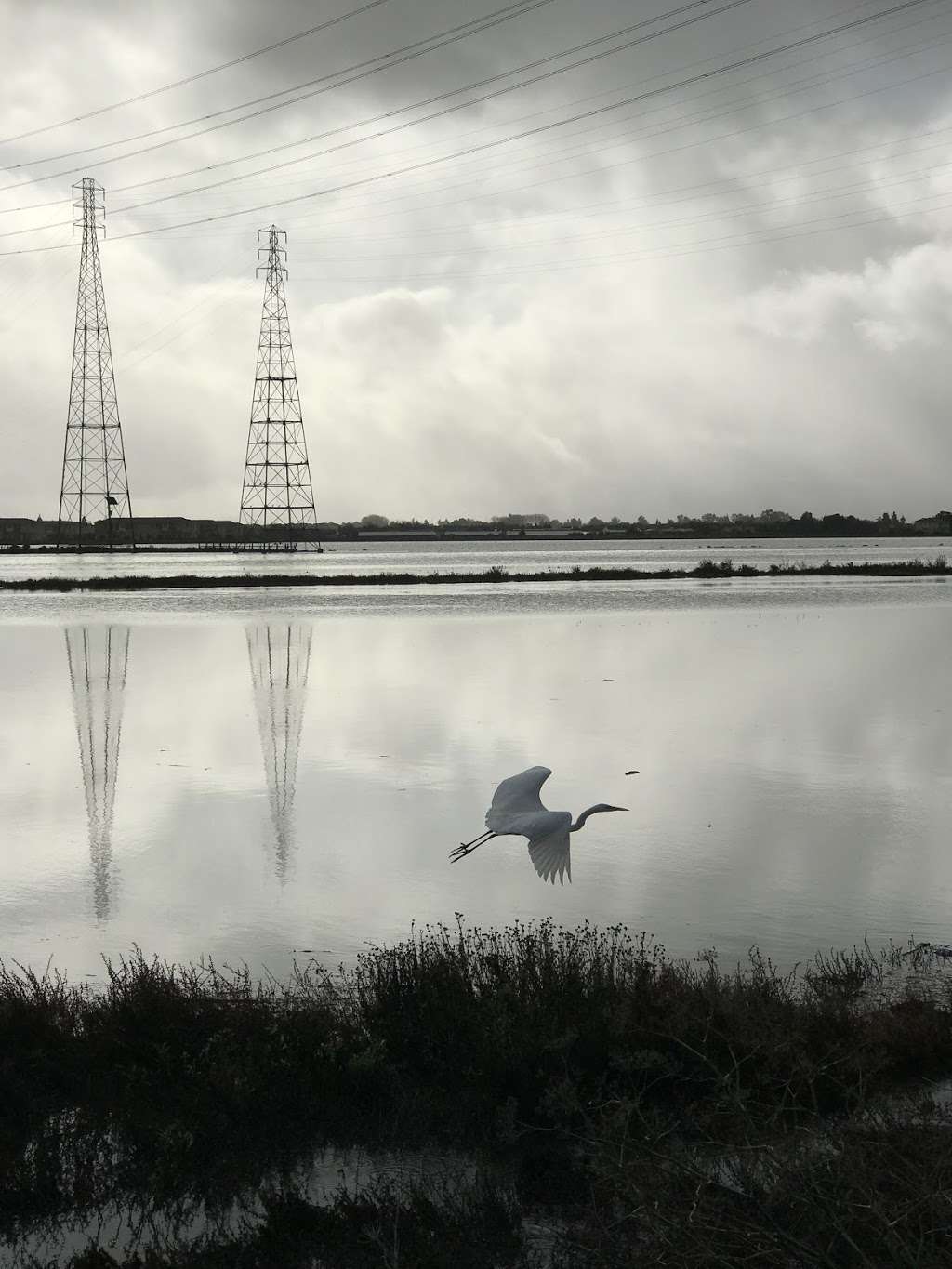 Beach Park Blvd & Foster City Blvd | Foster City, CA 94404, USA