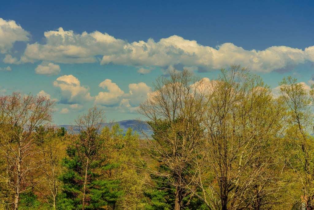 Southern outlook Mt Pisgah trail | 333 Howard St, Northborough, MA 01532, USA