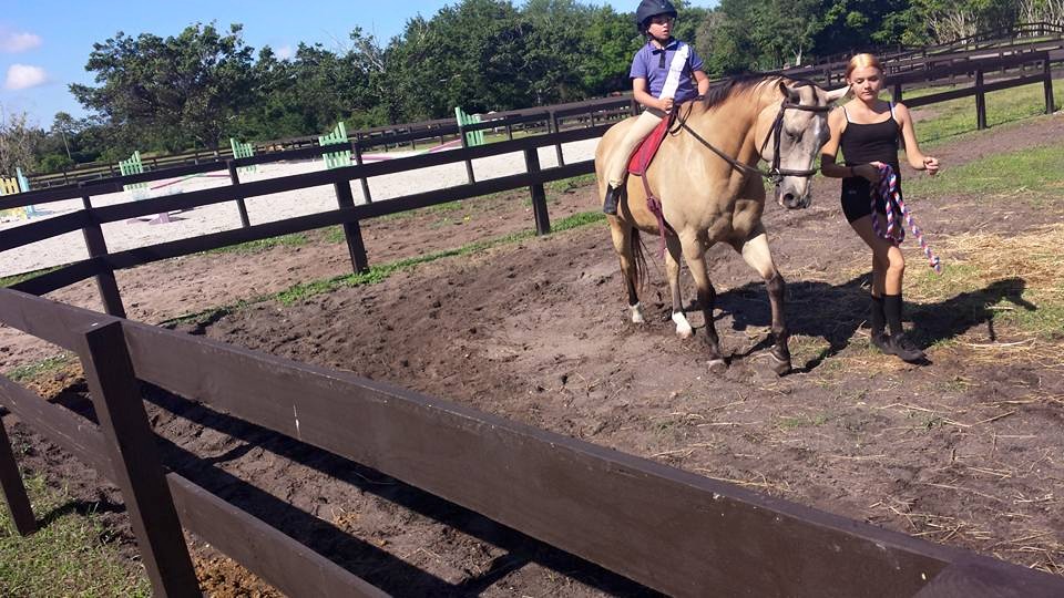 Staffordshire Equestrian Center Inc. | 8656 Surrey Ln, Boca Raton, FL 33496, USA | Phone: (561) 445-3946