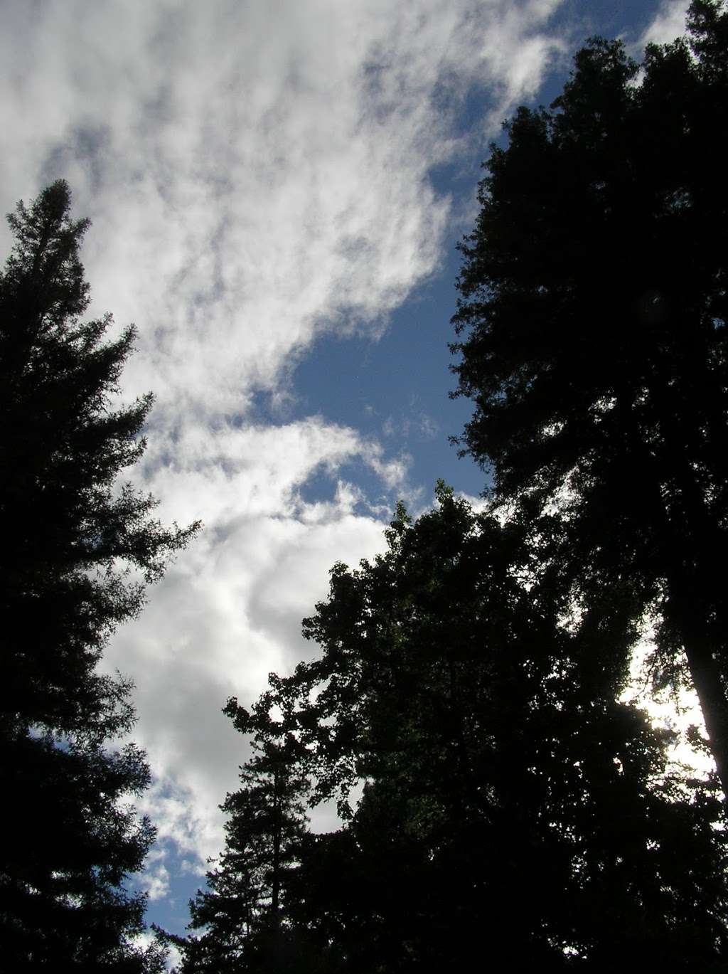 Sequoia Villa | 12540 Hwy 9, Boulder Creek, CA 95006, USA | Phone: (831) 338-6586