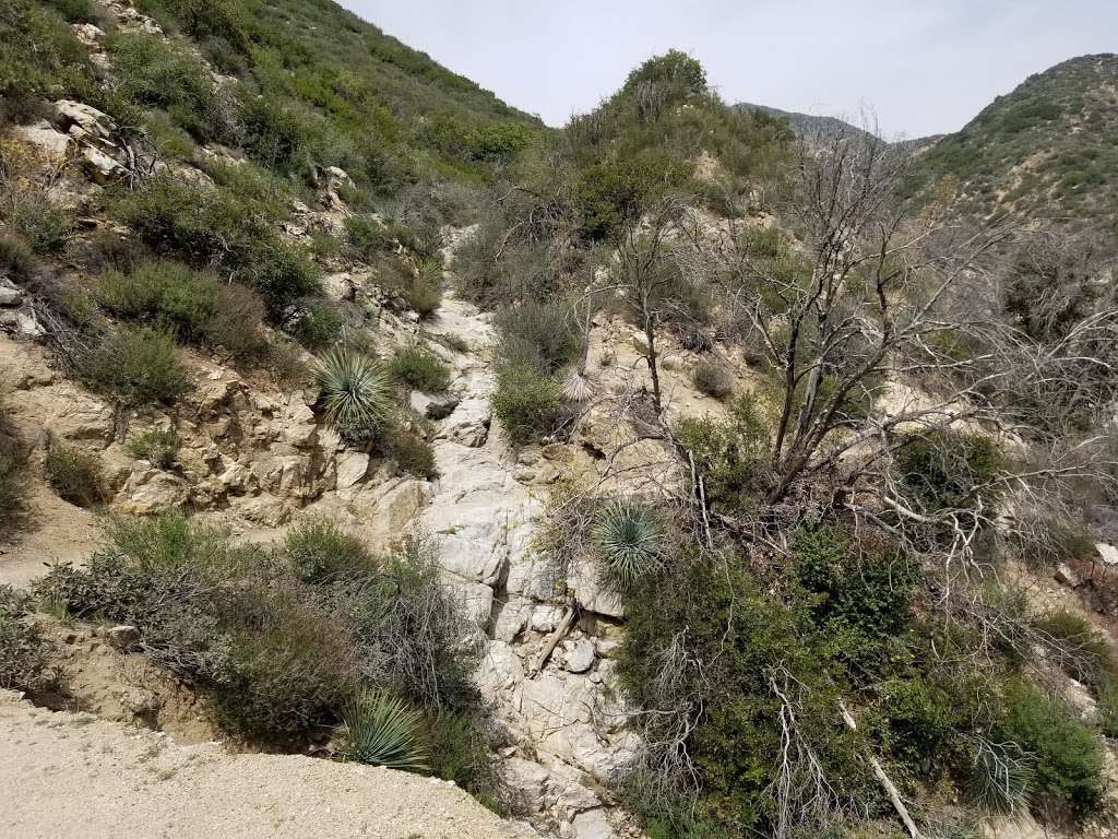 Colby Canyon Trailhead | 701 Angeles Crest Hwy, Tujunga, CA 91042, USA