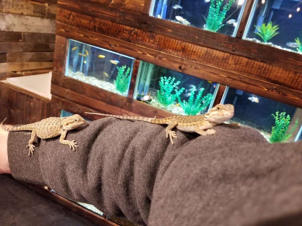Appalachian Reptiles & Aquatics | 18113 Maugans Ave unit a, Hagerstown, MD 21740, United States | Phone: (301) 465-0891
