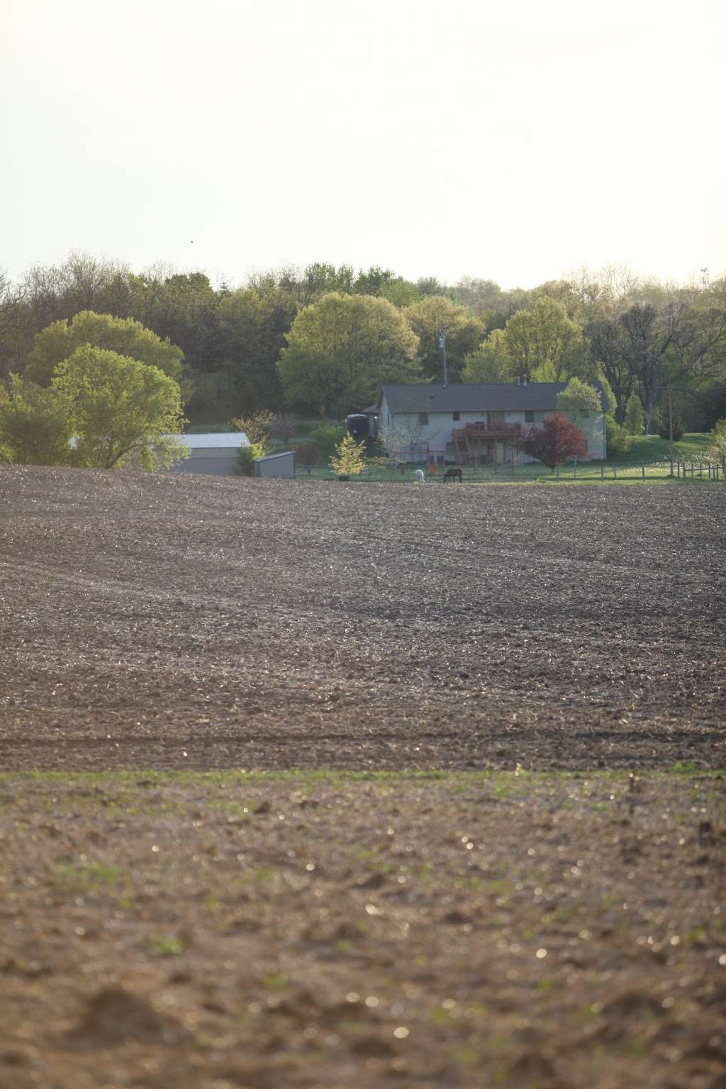 Keefe Real Estate 204 Commerce Ct 1, Elkhorn, WI 53121, USA