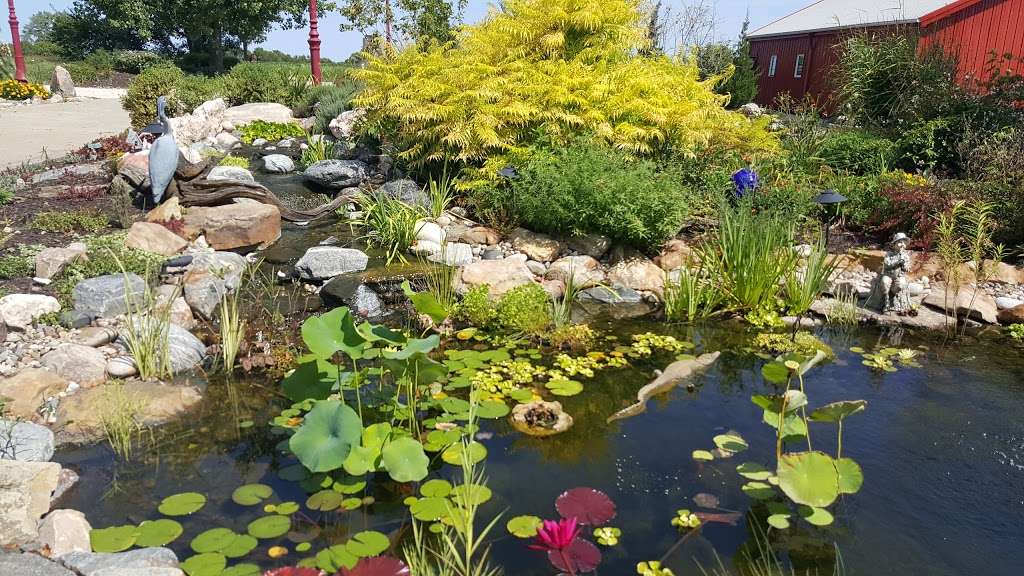 Swans Water Gardens | 4385 W 247th St, Louisburg, KS 66053 | Phone: (913) 837-3510