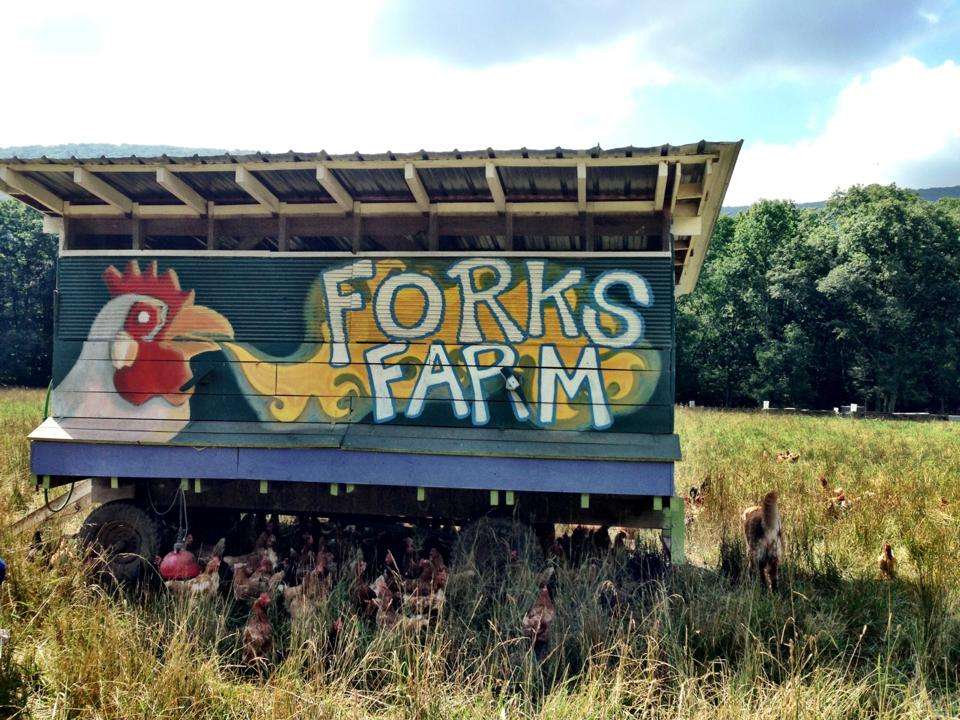 Forks Farm Market | 299 Covered Bridges Ln, Orangeville, PA 17859, USA | Phone: (570) 683-5820