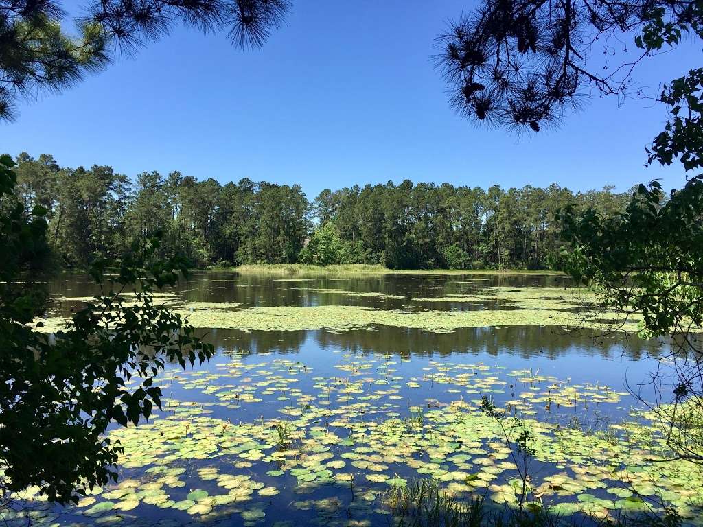 Spring Creek Nature Trail | Tomball, TX 77375, USA