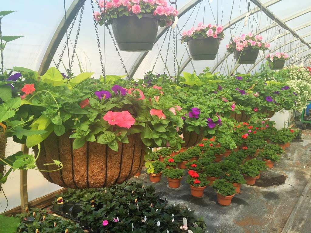 McCarter-Dallman Farm and Garden Center | 83 St Mihiel Dr, Delran, NJ 08075, USA | Phone: (856) 764-0468